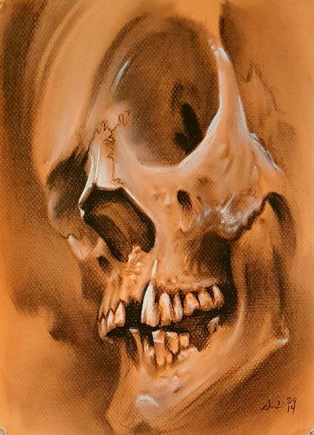 Art Galleries - Orange skull - 110033